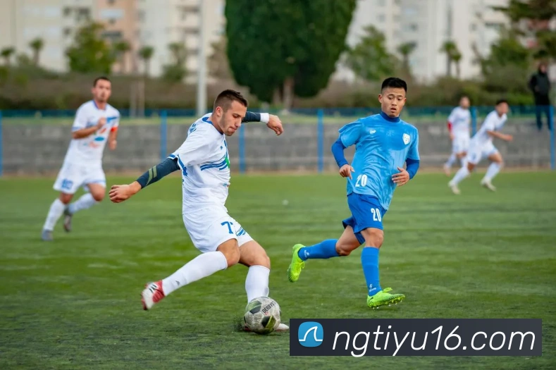 App Interface Preview