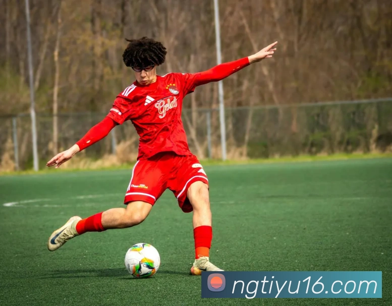 ng体育APP 封面图